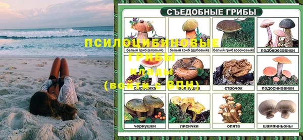твердый Алзамай