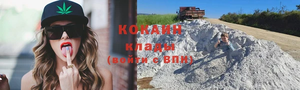 твердый Алзамай