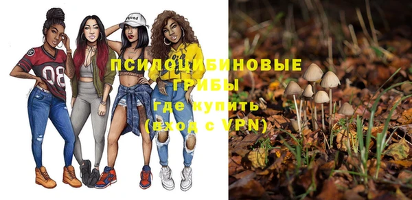 гашиш Каменка
