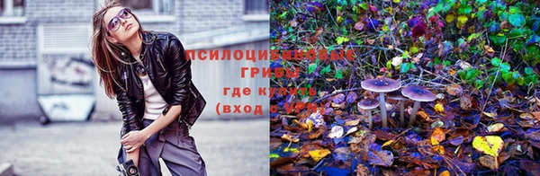 скорость Алексеевка
