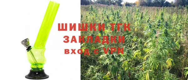 ГАЛЛЮЦИНОГЕННЫЕ ГРИБЫ Алексин