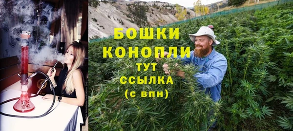 бутират Гусев